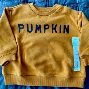 NWT Lauren Conrad Little Co. Pumpkin Sweatshirt Pullover 9 Months